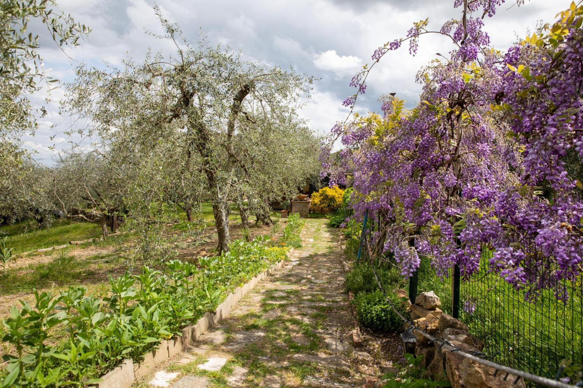 RigomagnoIl Poggio Dell'Eremitaアパートメント エクステリア 写真
